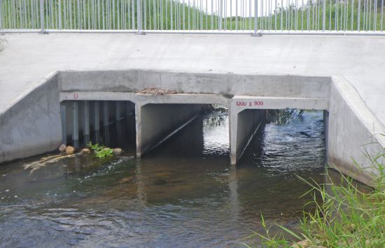 Engineers thinking like fish